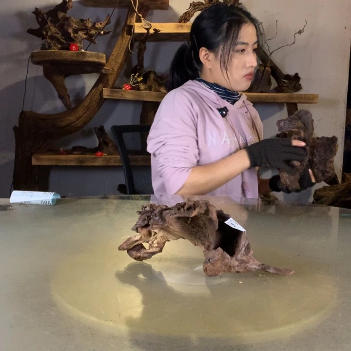 手***前天然的云南紫柚木会黄水