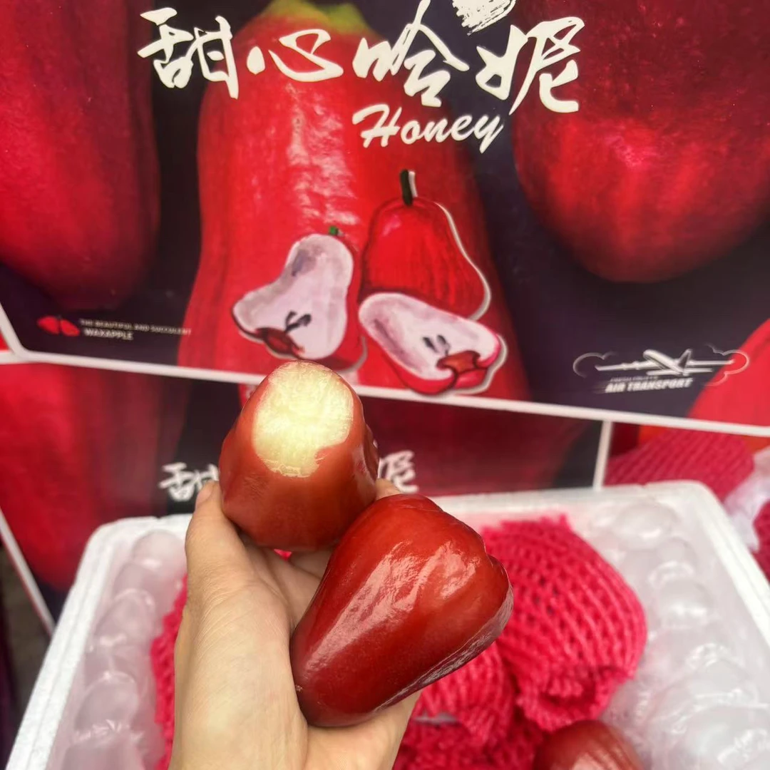 【甜心哈尼】海南 黑金刚莲雾 清甜水分大 约3斤