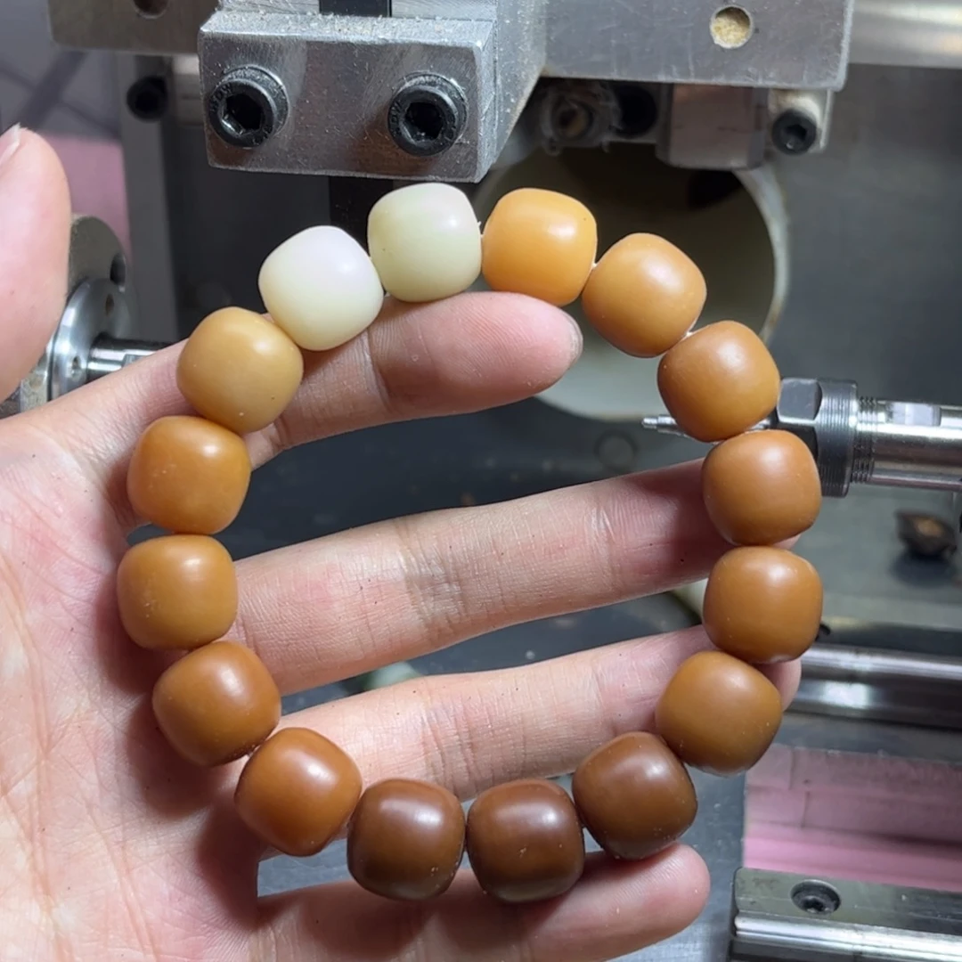 手串菩提根/象牙果