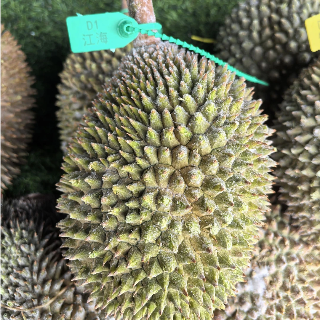 马来西亚液氮冷冻榴莲