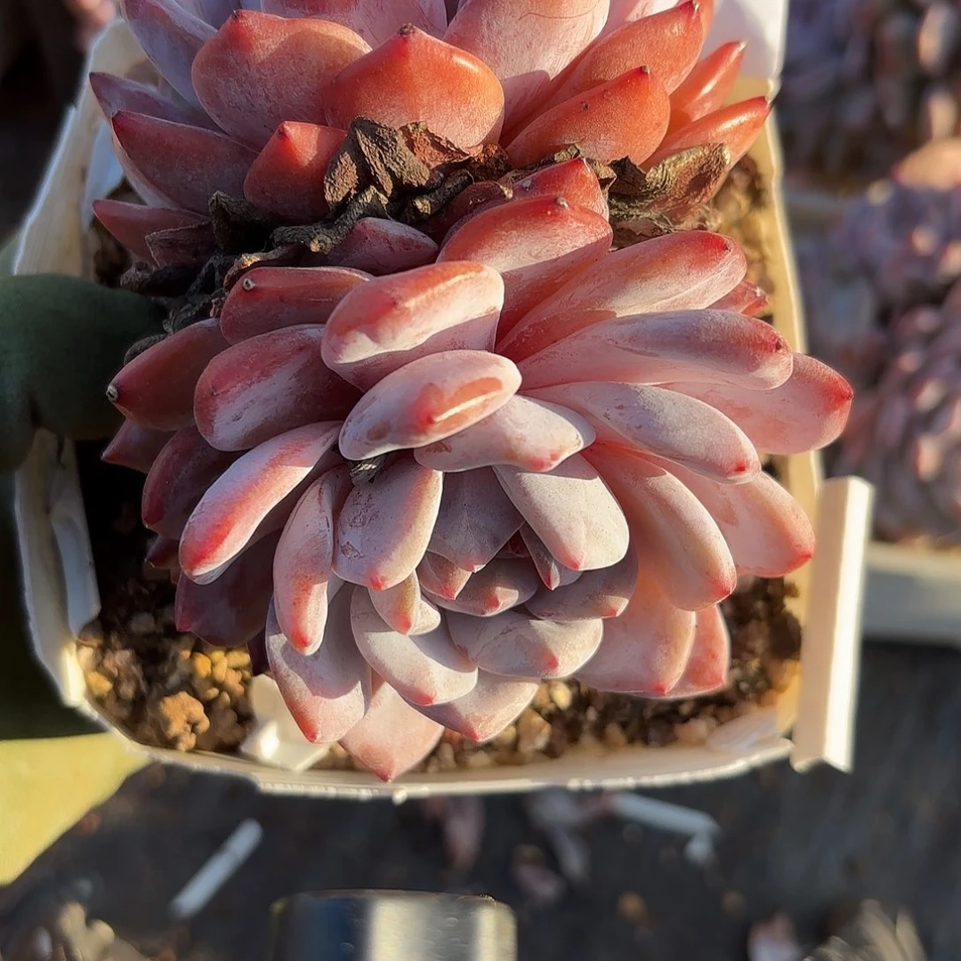 051包邮包邮包邮包邮