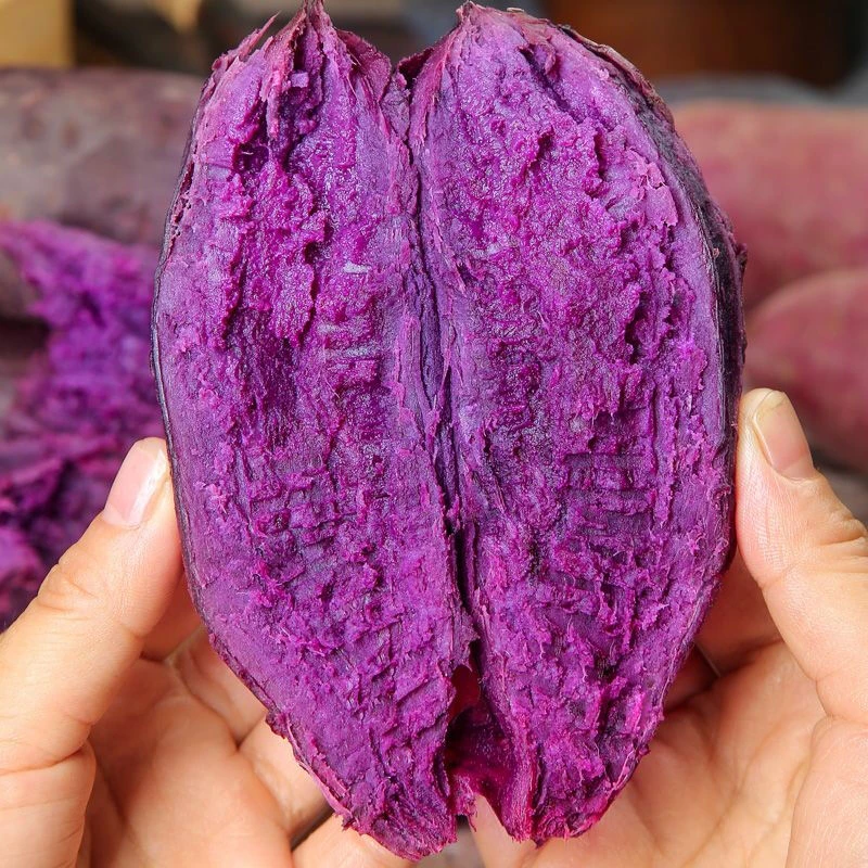 【爱心助力】湖北襄阳紫罗兰紫薯代餐粗粮现挖现发 净重3/5斤