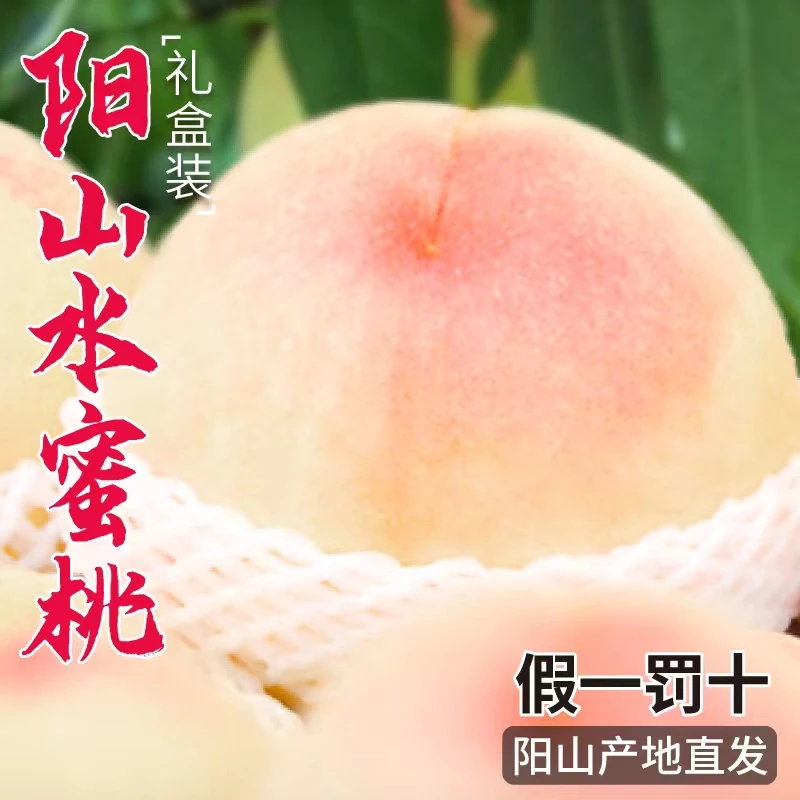 【正宗】无锡阳山水蜜桃4-5两应季新鲜皮薄肉厚爆汁软桃水果