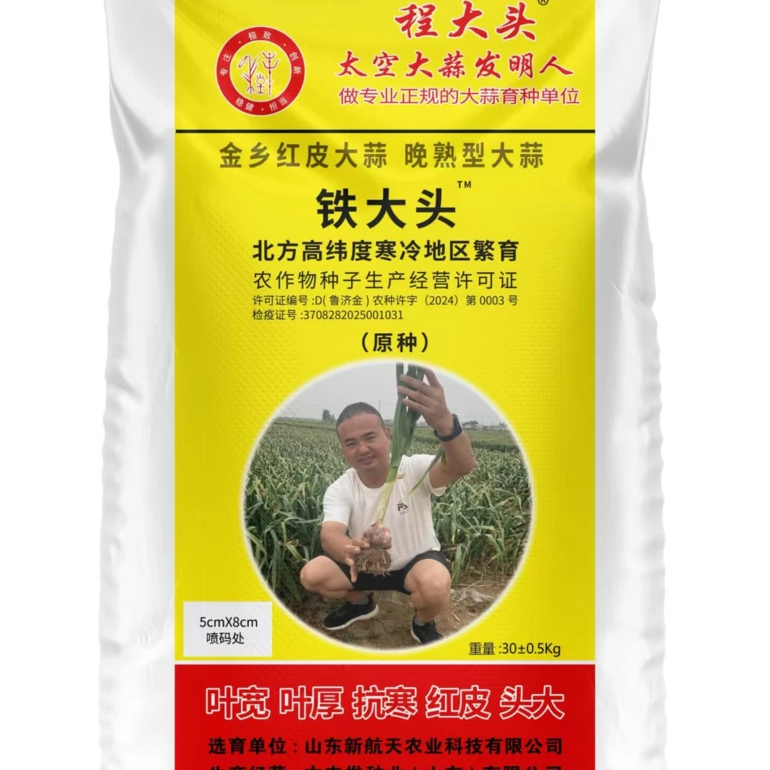 铁大头大蒜晚熟新品种特抗病