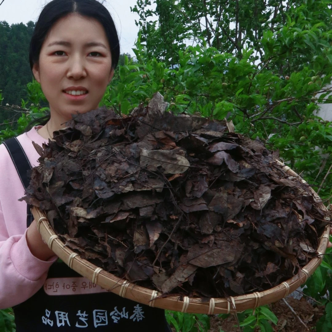 秦岭像树叶腐叶土腐殖土花卉有机弱酸性营养土适合月季营养土