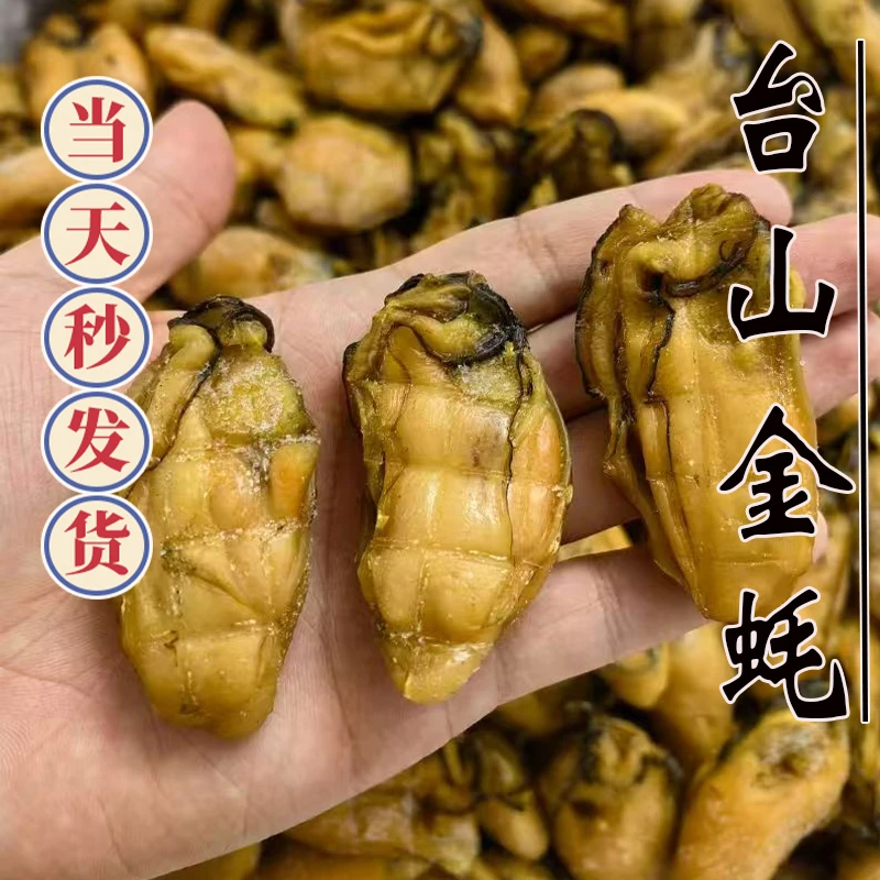 台山生蚝干 金蚝 生晒无抽油 海产干货  蚝干 六成干 500g