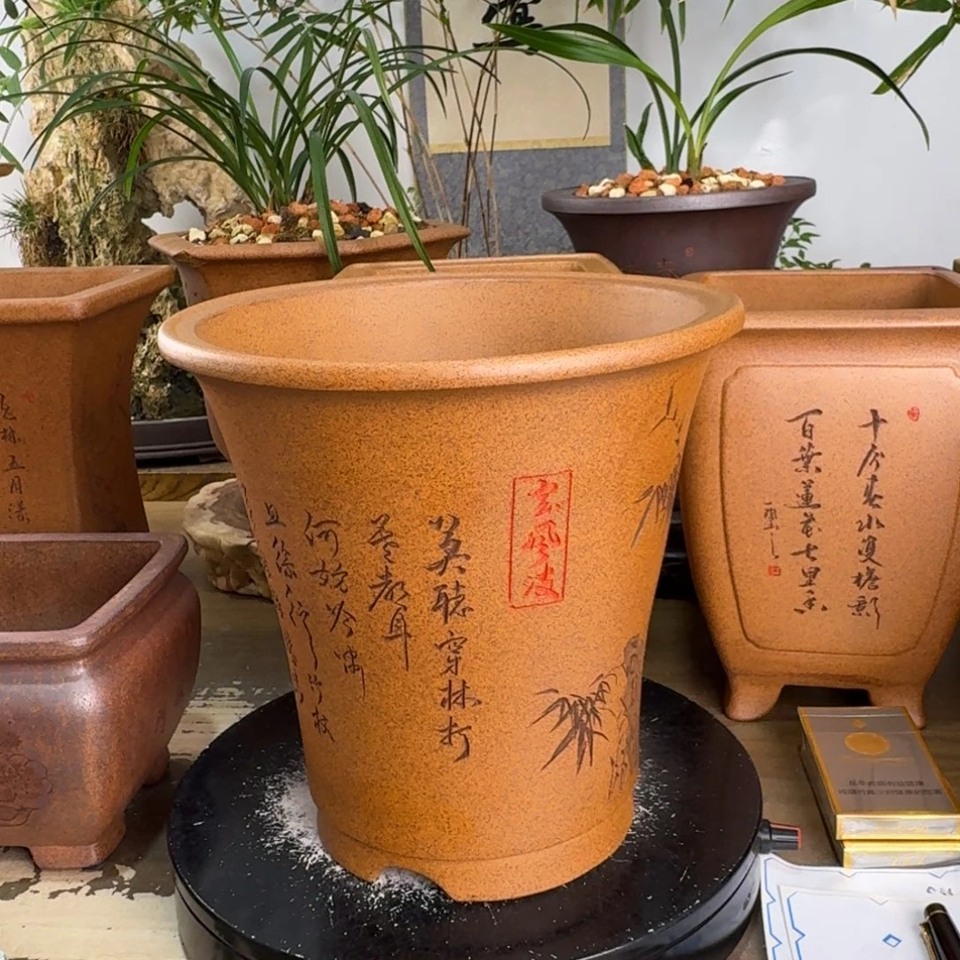 黄***鱼花盆紫砂紫砂花盆