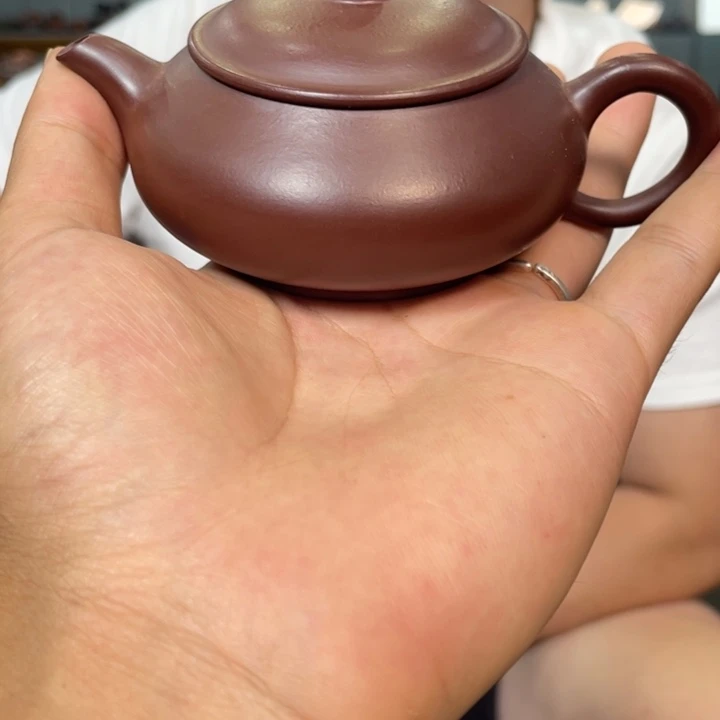 茶壶紫砂哈哈哈哈哈这个综艺节目真的