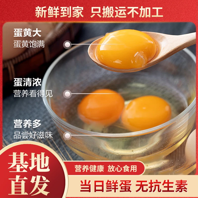 蛋嘉嘉【优质鸡蛋40枚整箱】无菌无激素叶黄素富硒散养新鲜农家鸡蛋