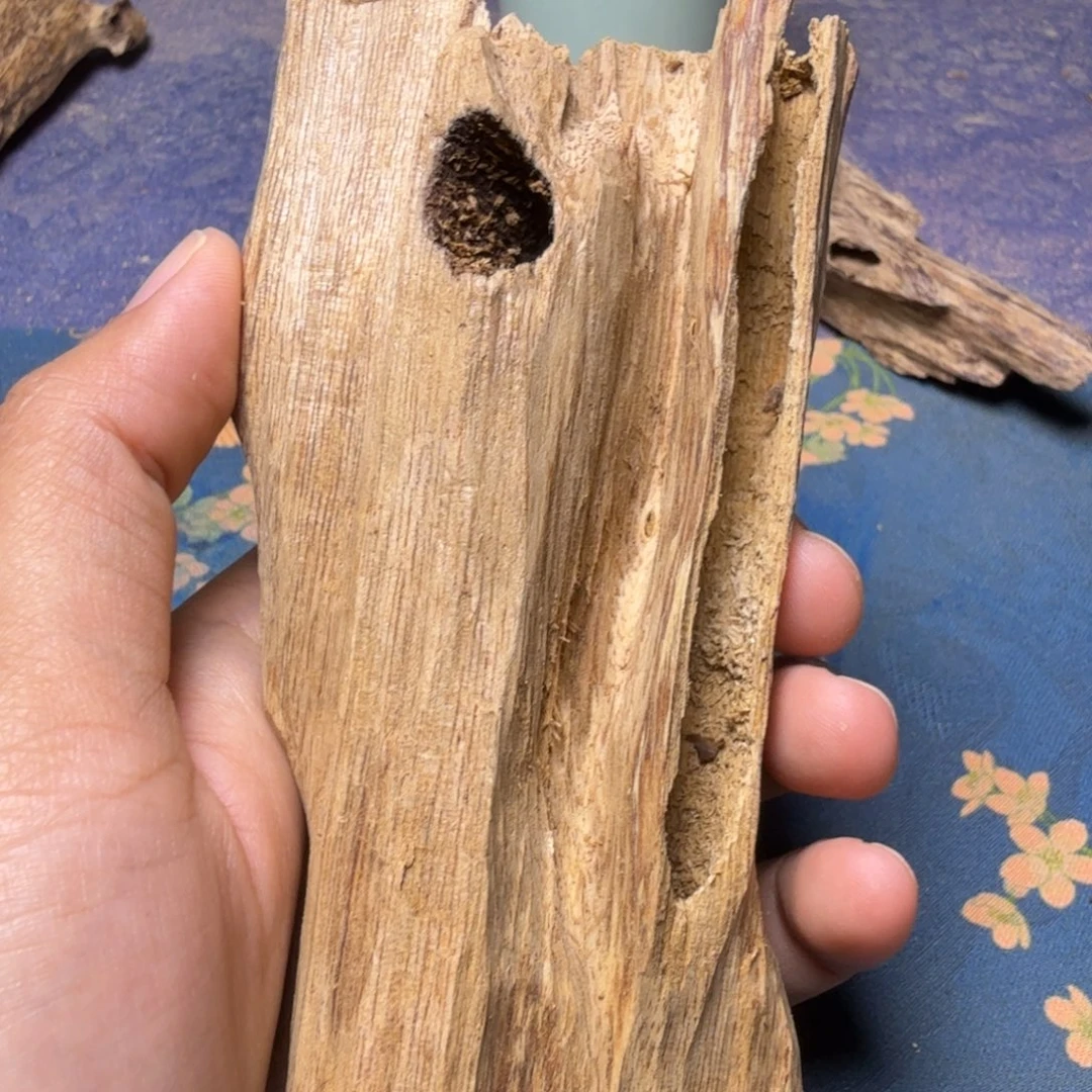 爱***玩香榧木虫漏福利一个