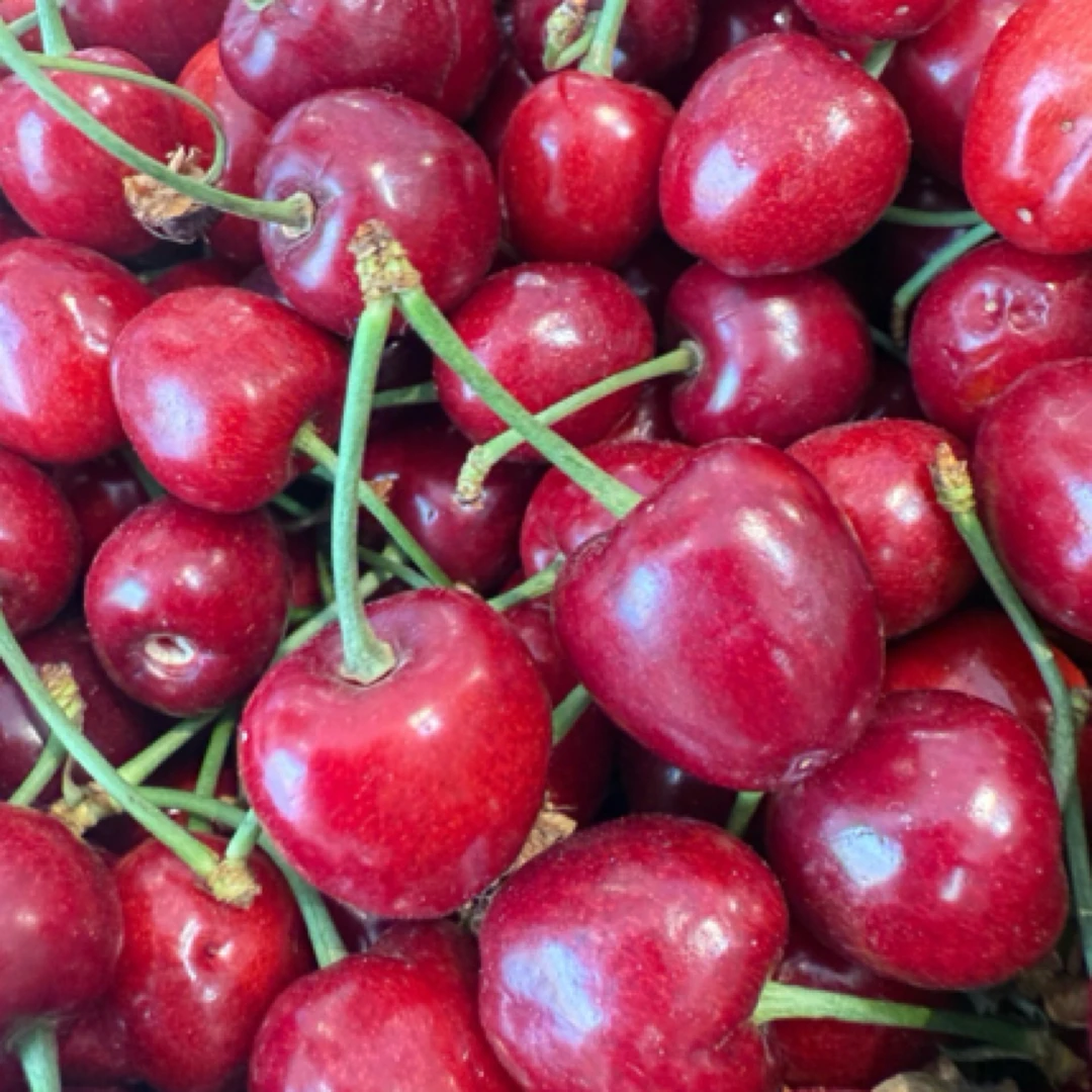 【果果优品】山东樱桃 1-3斤 J美早山东省