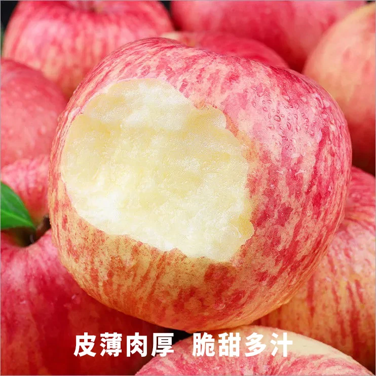 现摘现发】陕西洛川红富士苹果新鲜水果当季脆甜好吃应季整箱包邮B