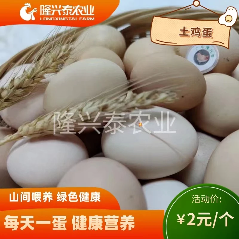（海燕农场甄选）正宗食用散养土鸡蛋营养优质新鲜农产品