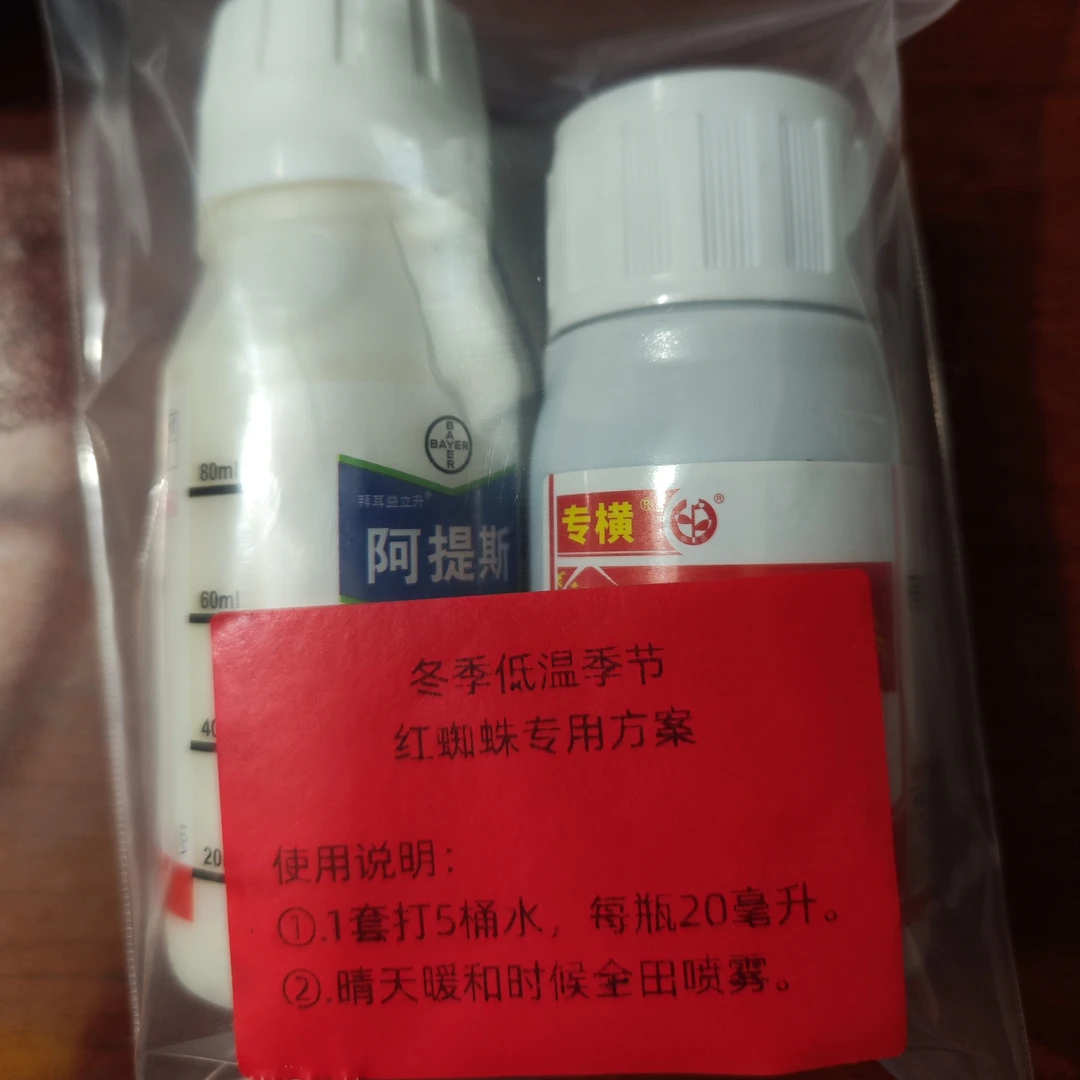 冬季低温季节红蜘蛛专用方案