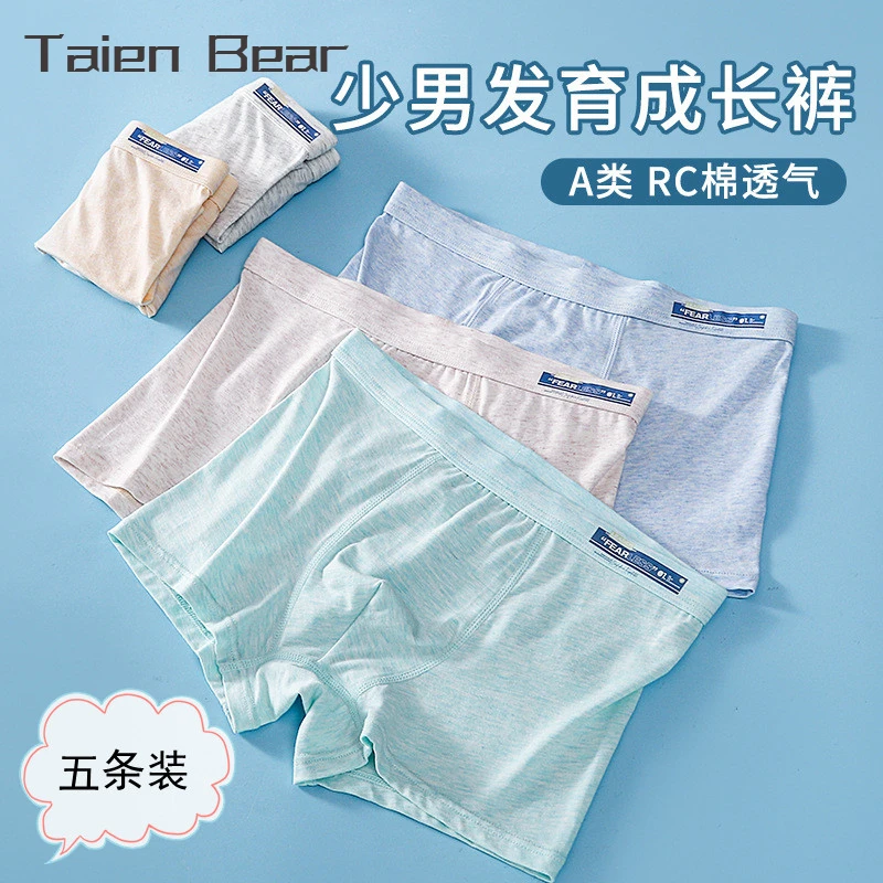 泰恩熊青少年中大童内裤彩纱莫棉男生发育期学生四角儿童短裤5条