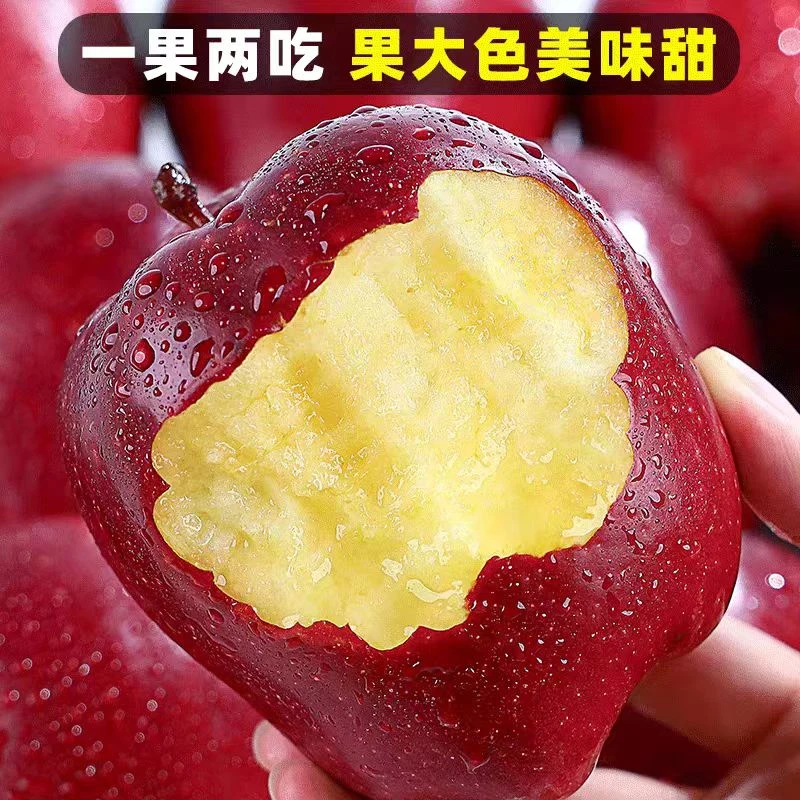 现摘2025正宗天水花牛苹果高山种植清脆粉面辅食两吃果产地直发