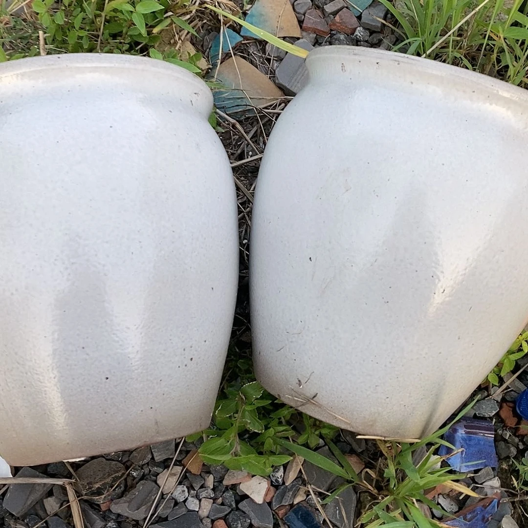 红陶20CM（含）-50CM（不含）瑕疵19-21两个