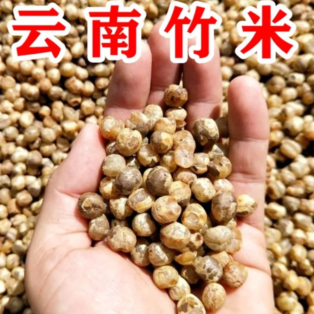 豪猪箐:云南腾冲猴桥(边境)黑泥塘真野生竹米48年成熟一次