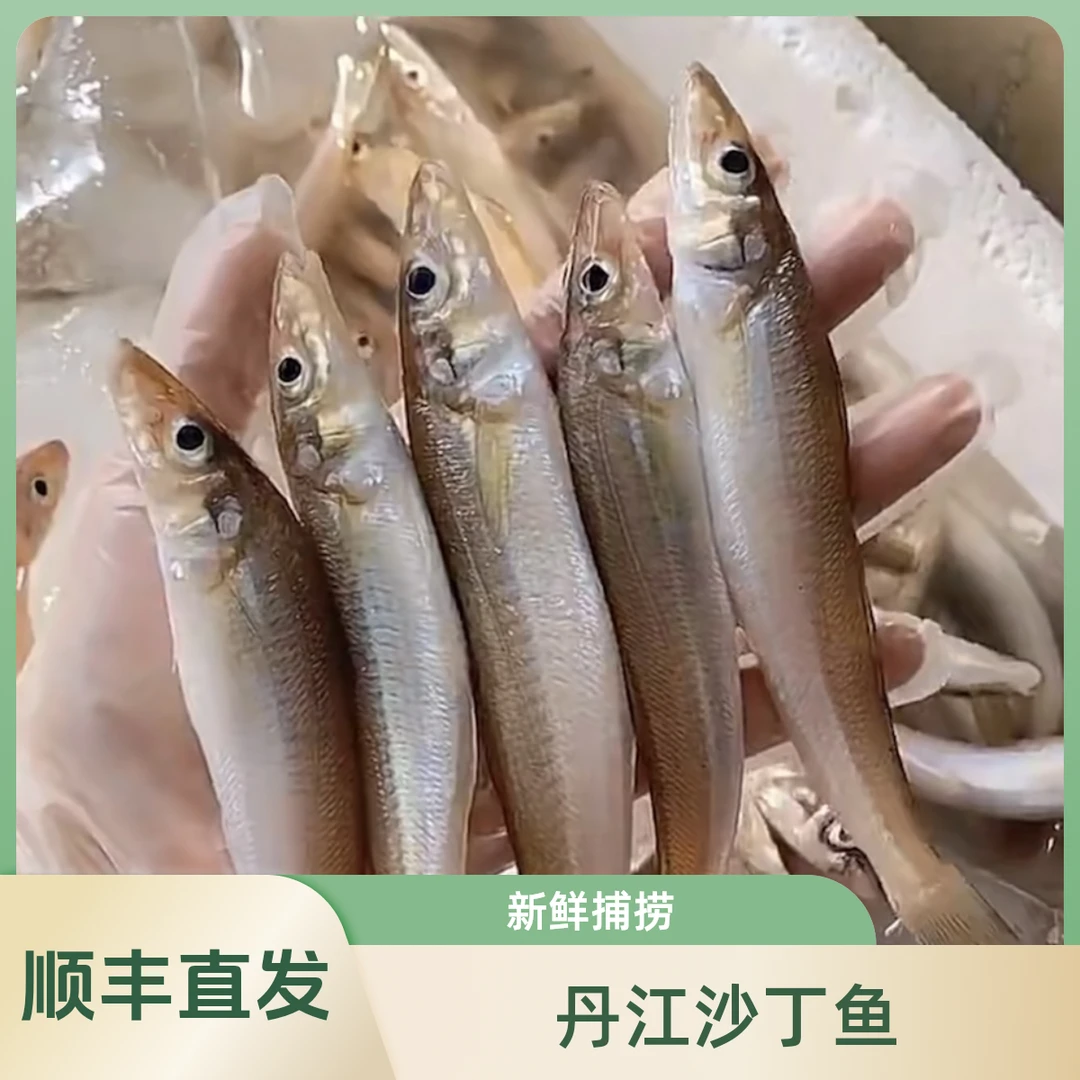 【沙丁鱼】南水北调源头 好水好鱼