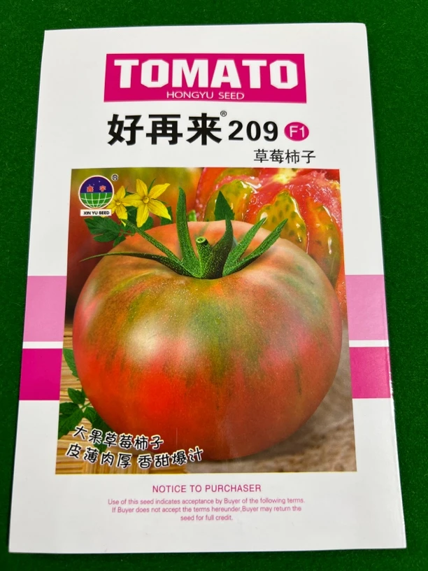 209草莓柿子（拍一发二）