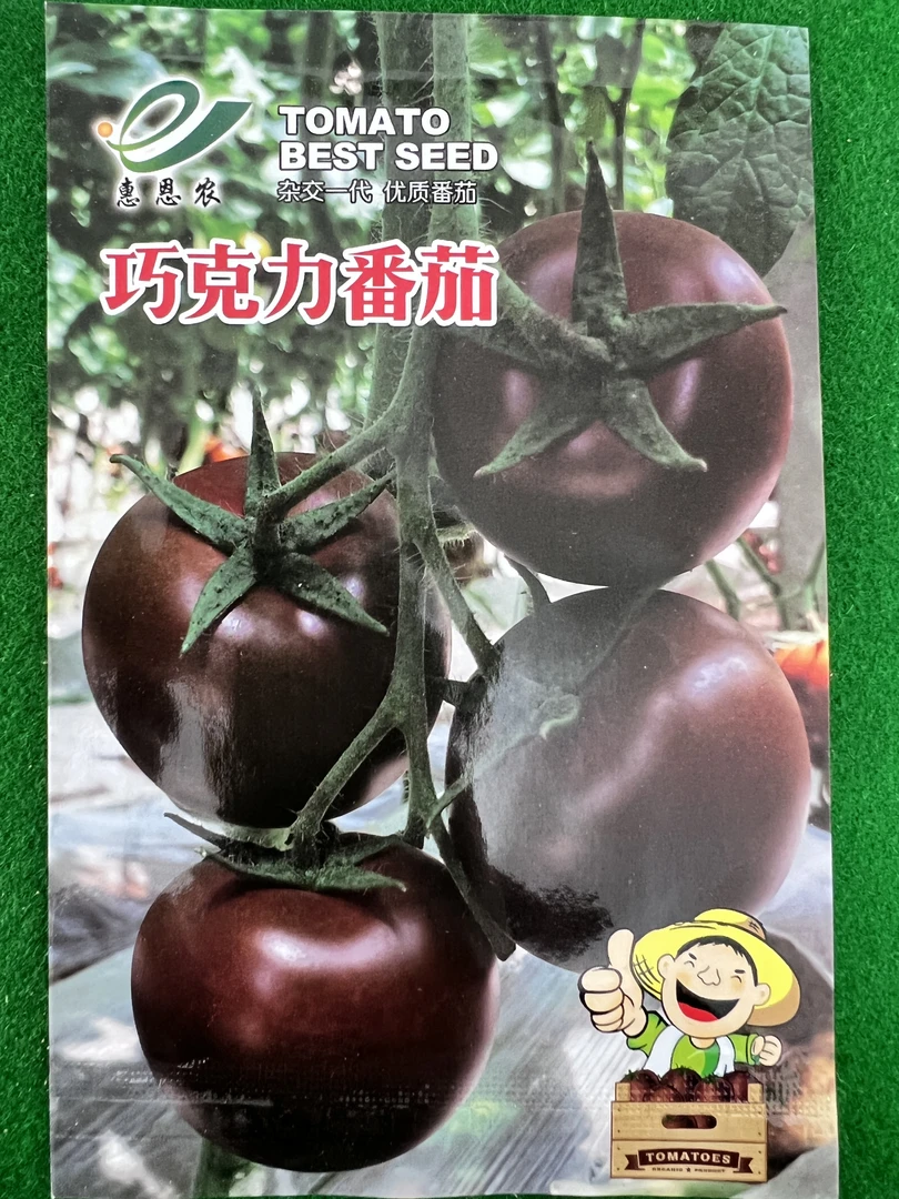 巧克力番茄柿子籽
