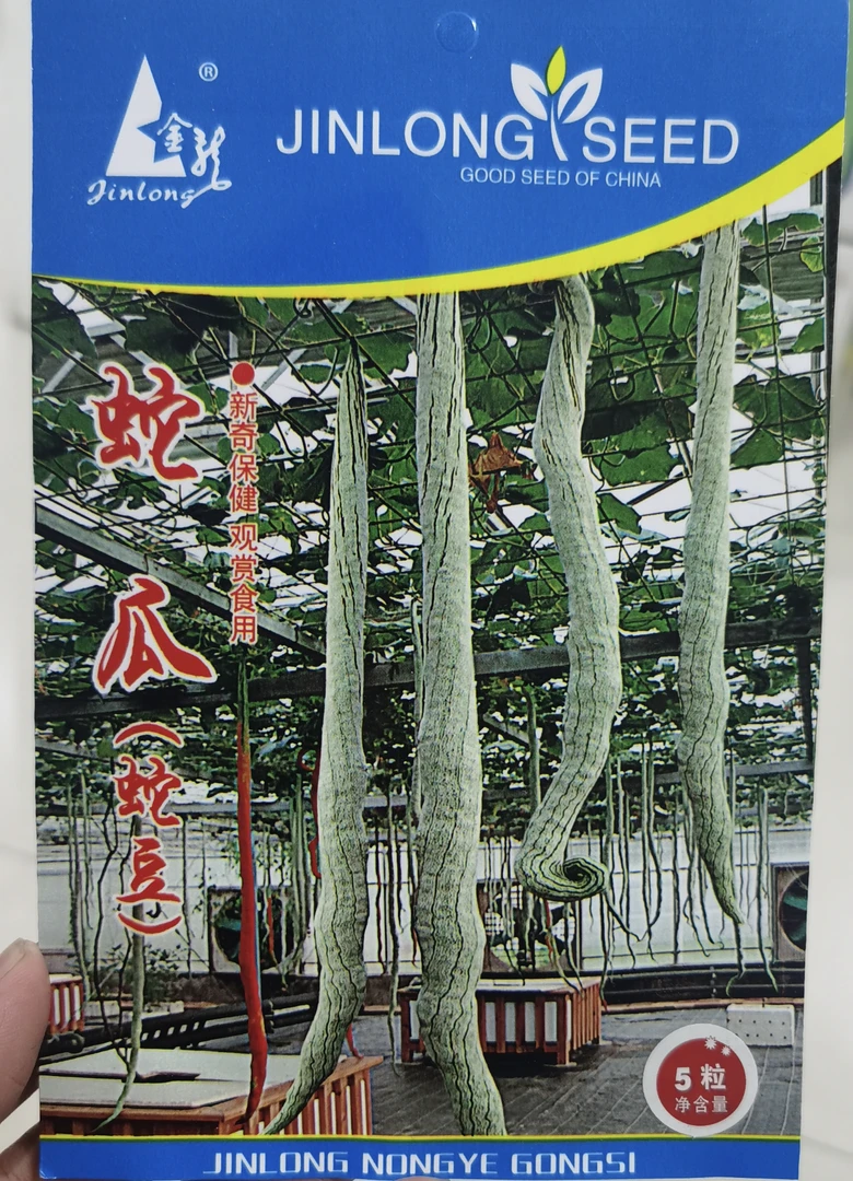 蛇瓜（又名蛇豆）种子