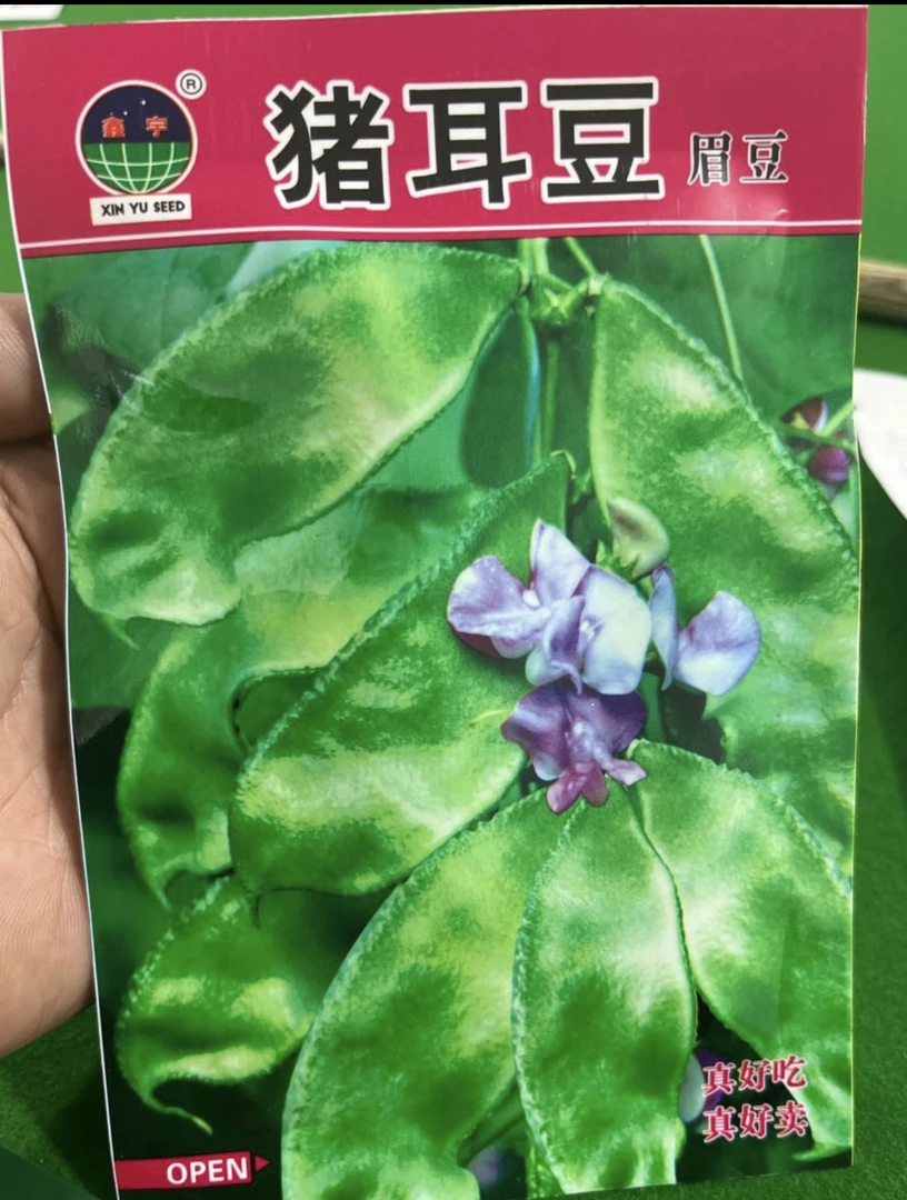 猪耳豆眉豆豆子籽