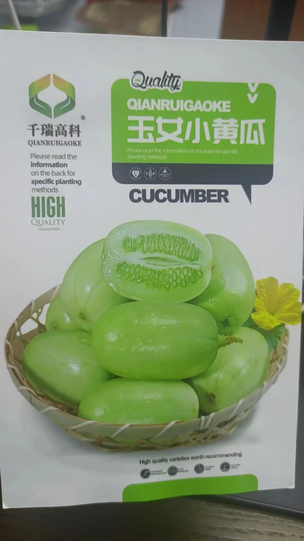 玉女水果黄瓜种子