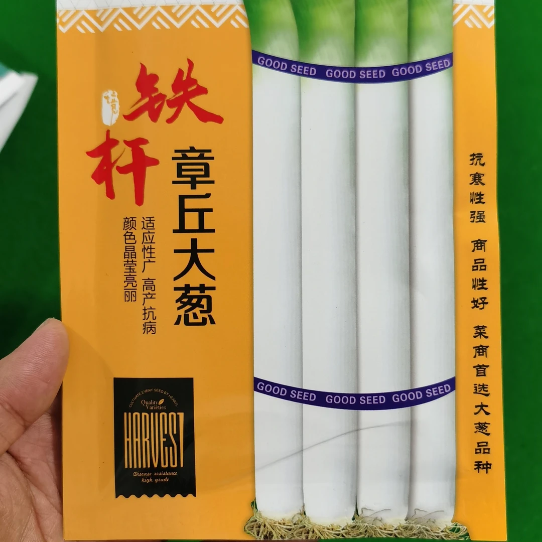 章丘铁杆大葱种子