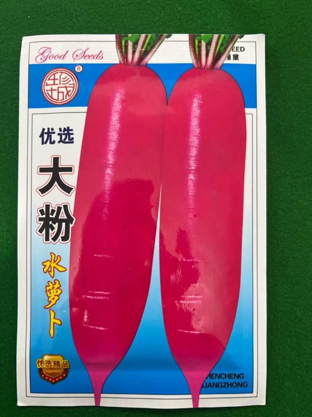 大粉水萝卜种子甜脆爽口