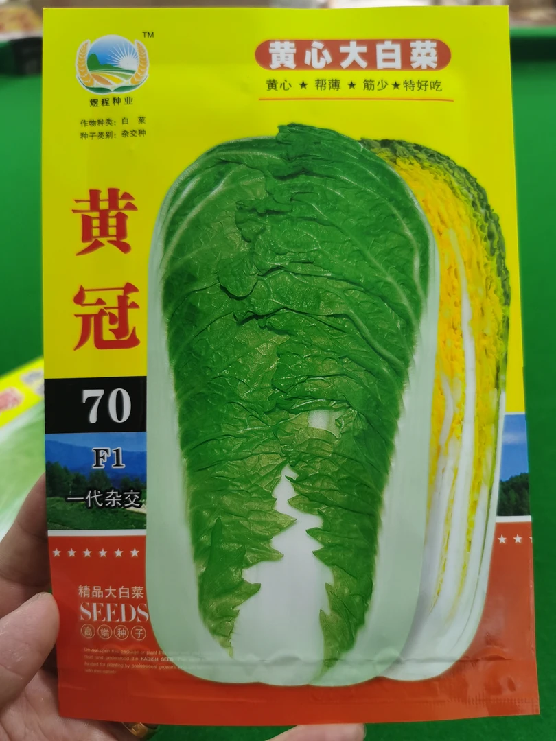 黄冠70黄芯大白菜