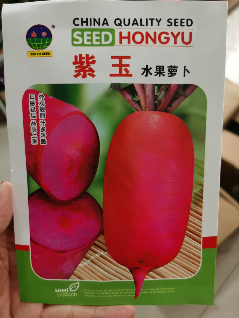 紫玉水果视频萝卜种子