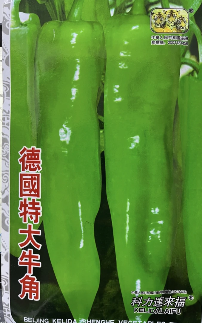 德国特大牛角椒辣椒种子