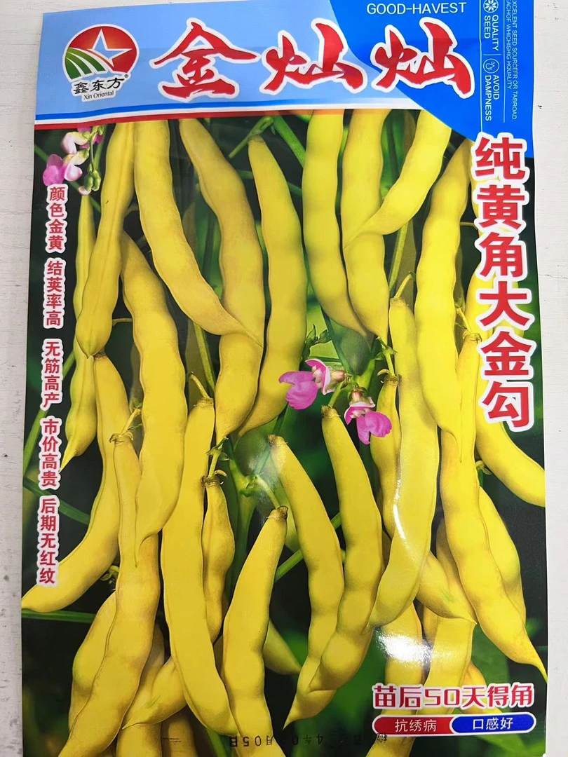 金灿灿油豆角种子