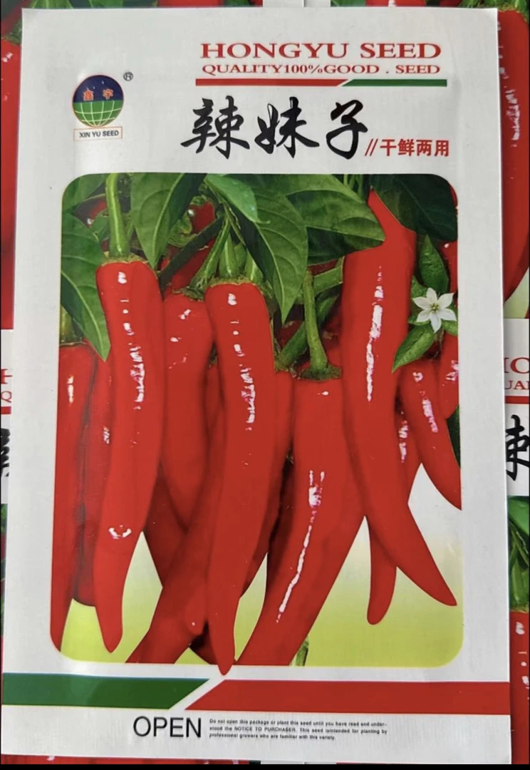 辣妹子辣椒种子10克❤️拍一发二