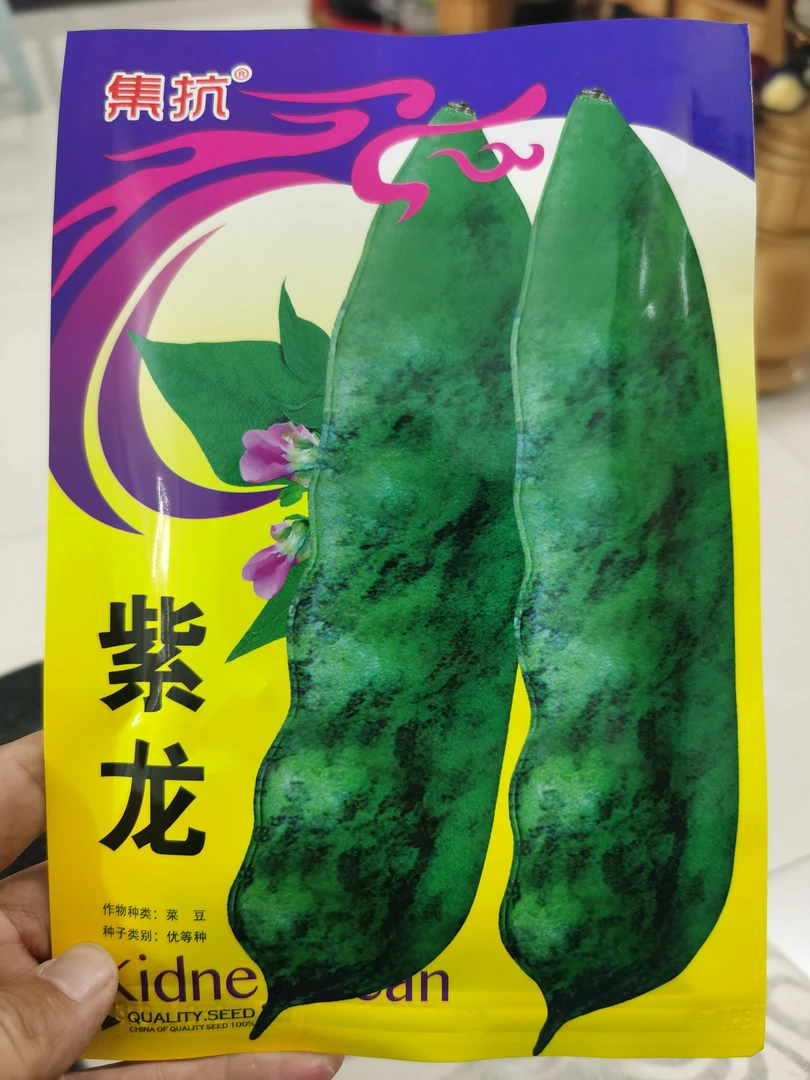 紫龙改良大马掌豆角籽