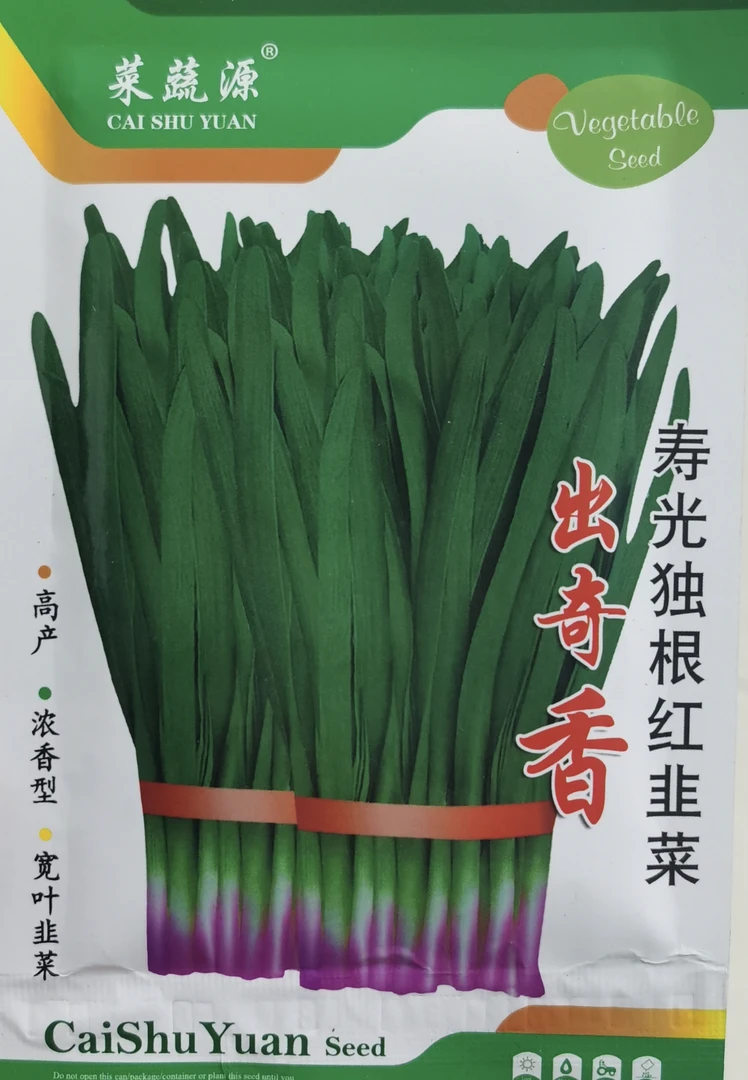 独根红韭菜出奇香种子