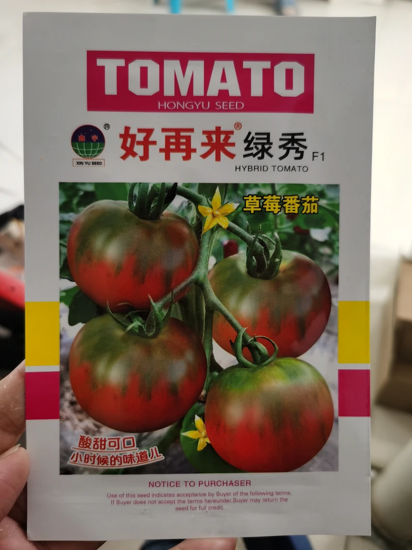 好再来绿秀草莓柿子