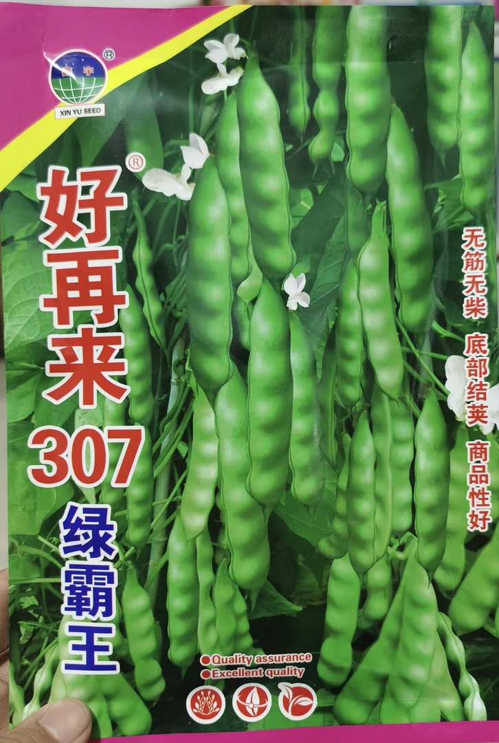 好再来307绿霸豆角籽