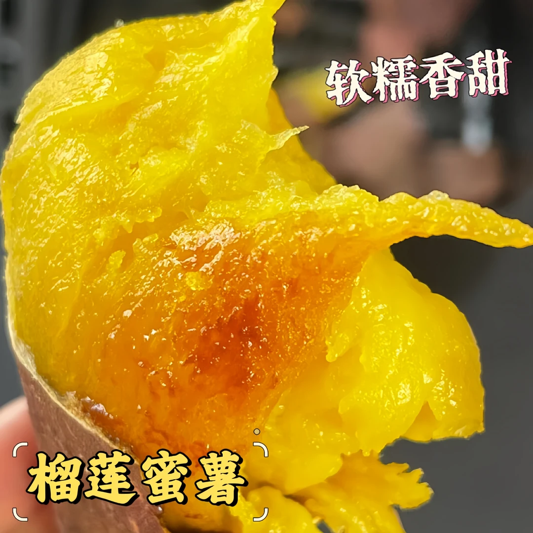【新鲜现挖】榴莲蜜薯玛莎莉红薯 黄金蜜薯番薯 超甜粉糯无茎无丝