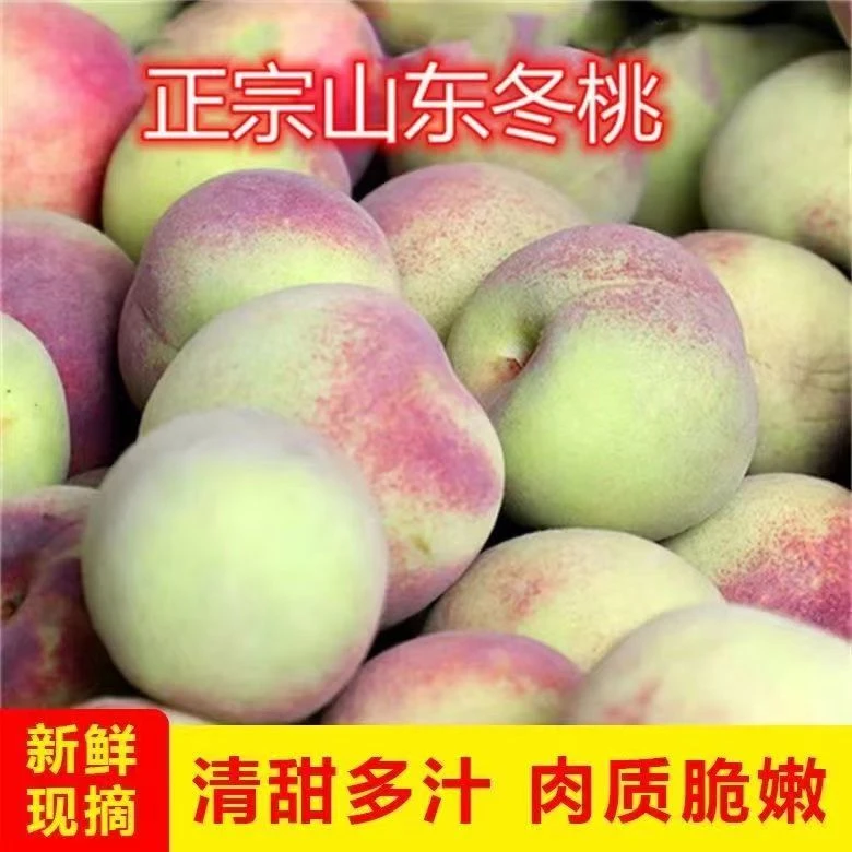 山东蜜桃冬桃桃子青州蜜桃新鲜水果硬桃毛桃非水蜜桃当季现摘现发