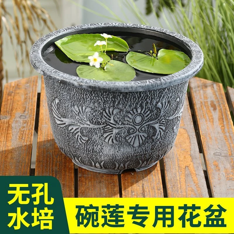 清仓专用捡漏一叶莲盆荷花睡莲花盆无孔水培古法水仙养殖盆