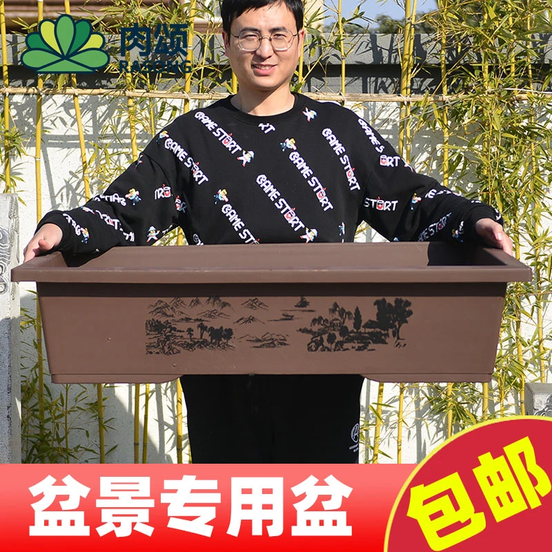 塑料耐晒假山树桩吸水石金弹子盆景盆新款盆景专用花盆