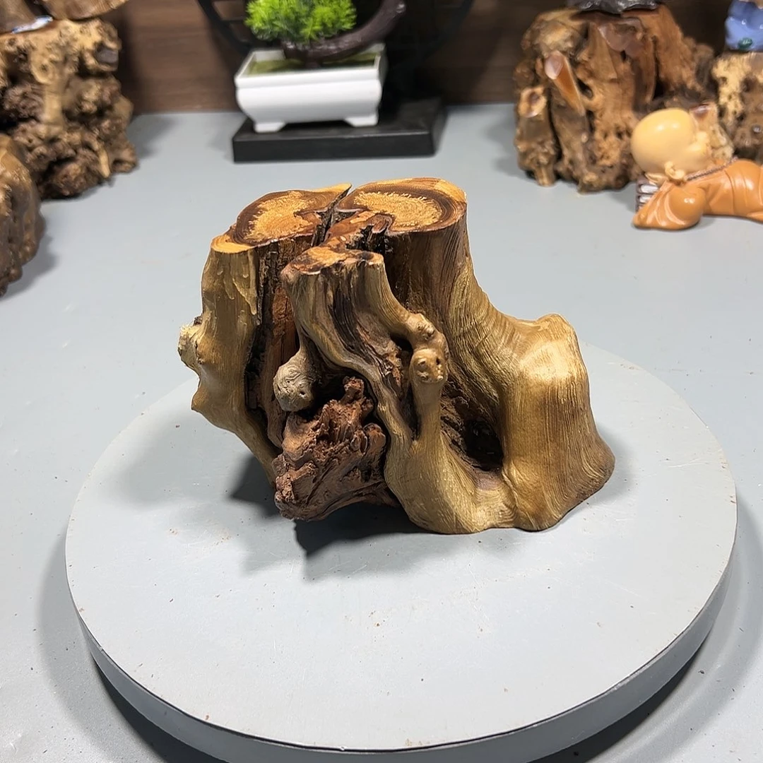 大果紫檀（缅甸花梨）虾***米