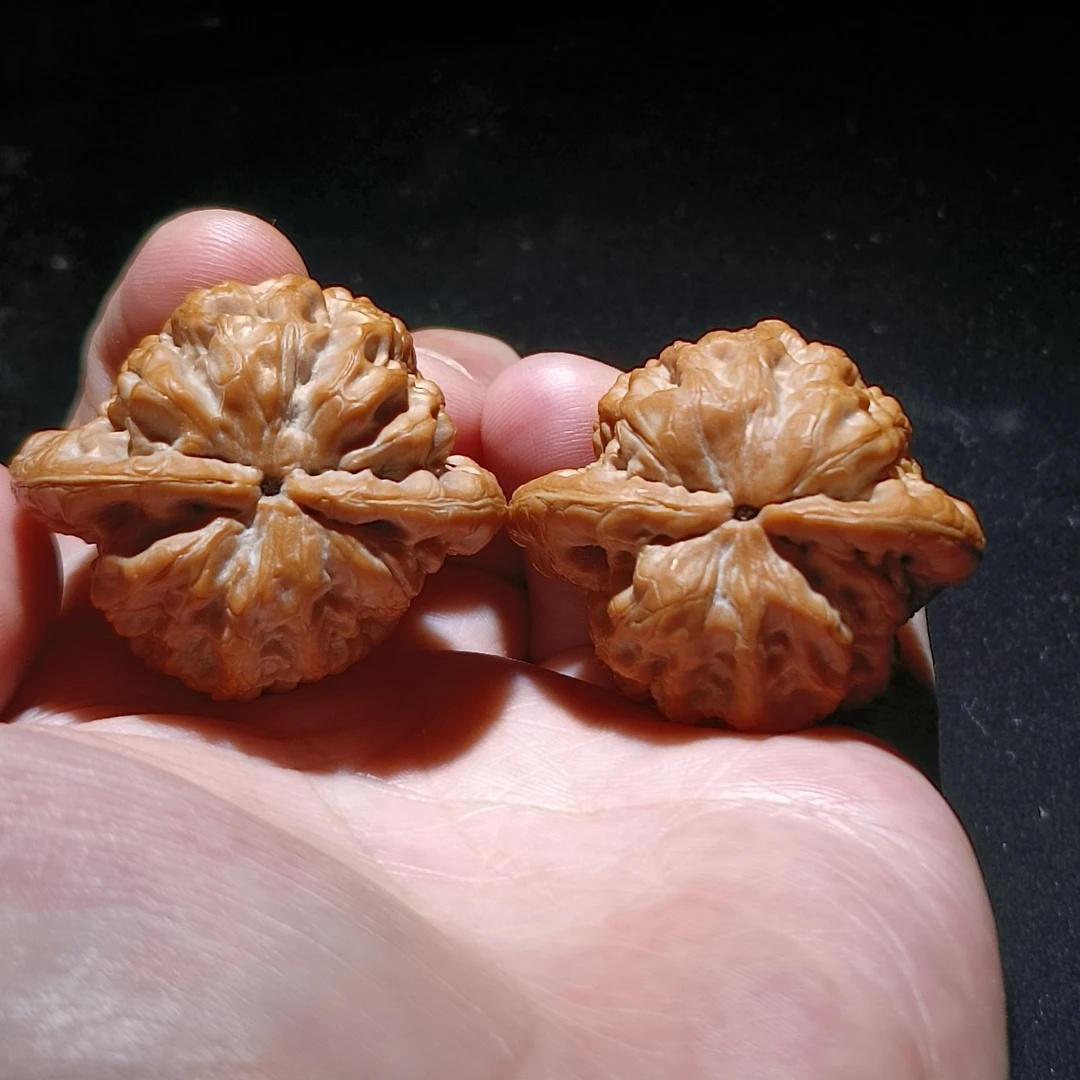 文玩核桃  正版金公子尺寸39.5/34/41