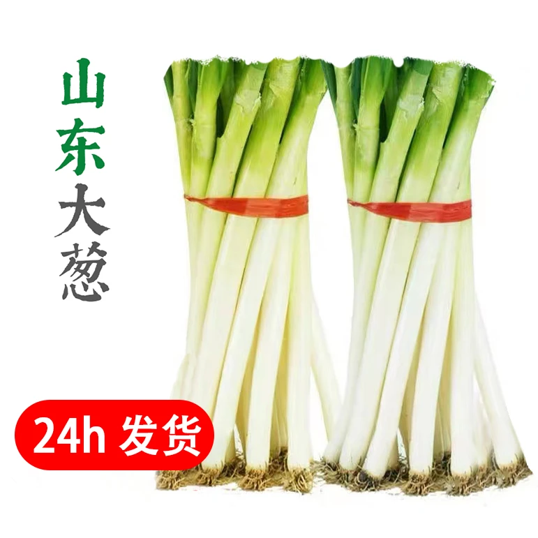 山东大葱原产地   现挖现发