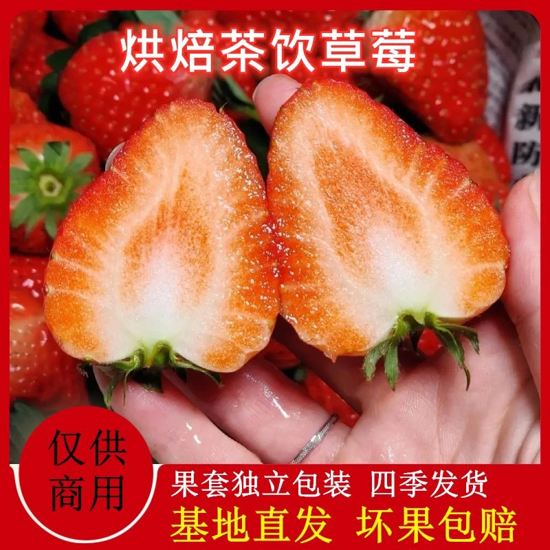 云南四季双流草莓新鲜商用蛋糕奶茶果酱糖葫芦一整箱包邮