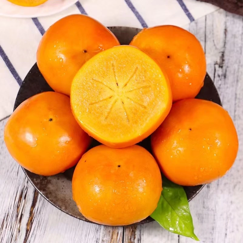 陕西阳丰巧克力脆柿新鲜当季水果清甜可口脆甜多汁