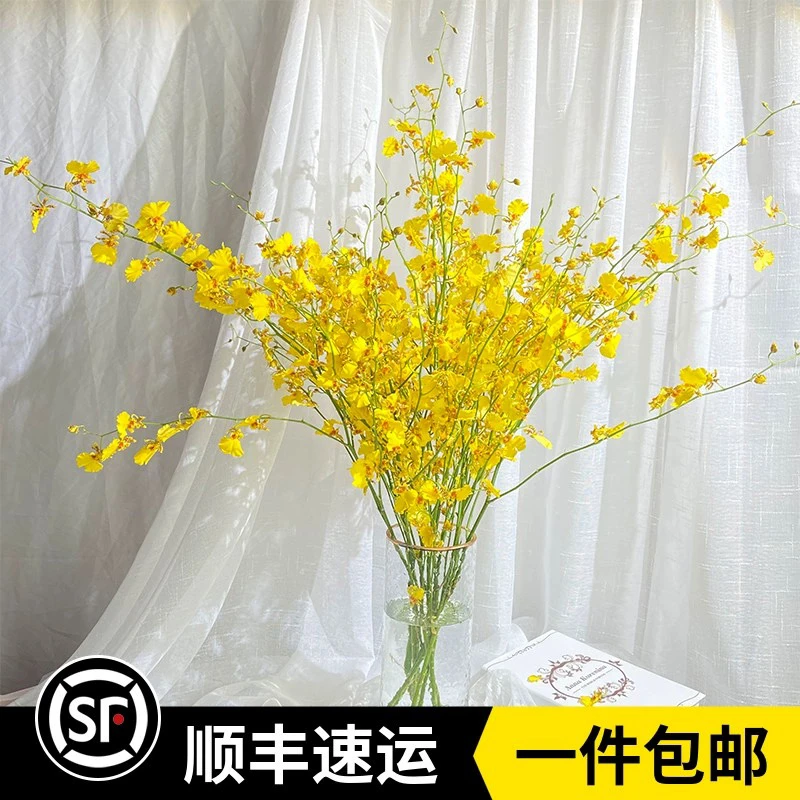 新鲜跳舞兰家庭水养办公室插花云南花直发婚礼手捧花材