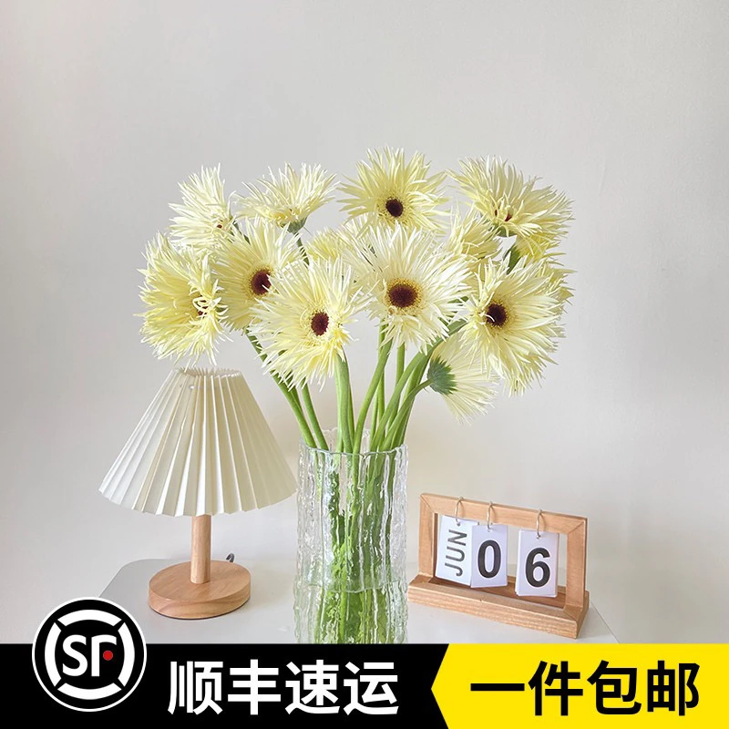 新鲜非洲菊家庭办公室水养花卉云南基地直发